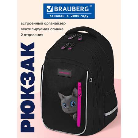 Рюкзак Brauberg любопытный кот