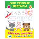 Книга Большие прописи с наклейками Мои первые прописи