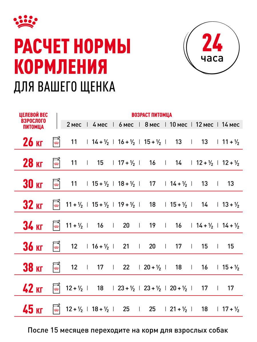 Корм для щенков влажный ROYAL CANIN Maxi Puppy для крупных пород в возрасте до 15 месяцев соус 100г - фото 9