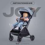 Коляска прогулочная Rant Basic Joy