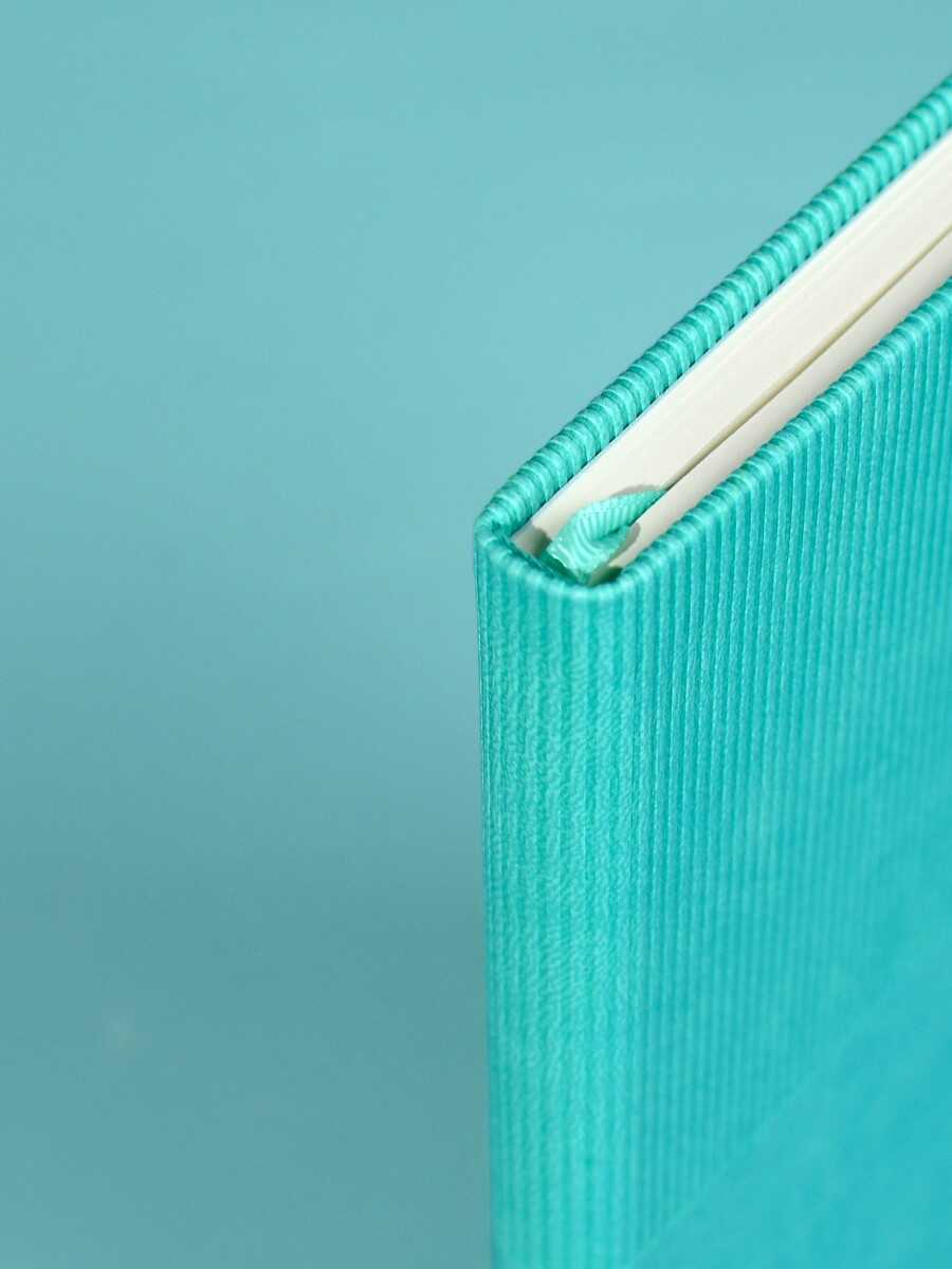 Ежедневник Феникс + ESCALADA 120 лист. - фото 8