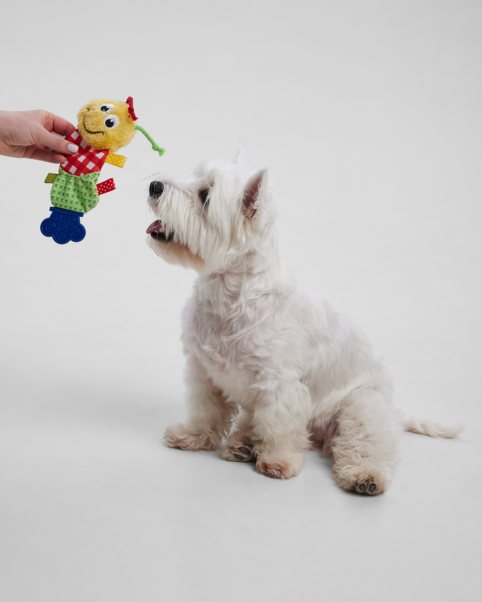 Игрушка для щенков Barbaks Гусеница Глафира 23*1.5см пищит шуршит с элементами из TRP для жевания - фото 4