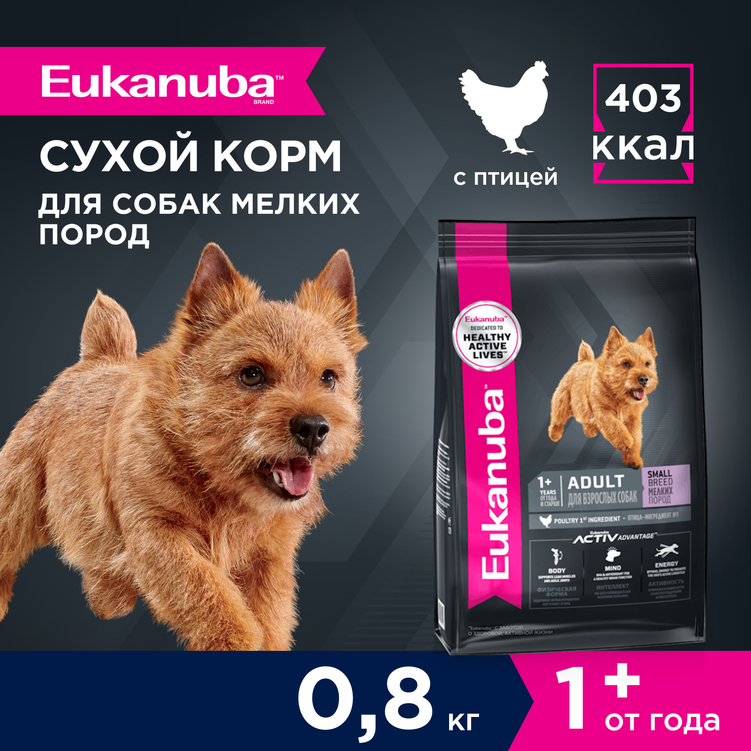 Корм Eukanuba Dog 800г для взрослых собак мелких пород сухой - фото 2