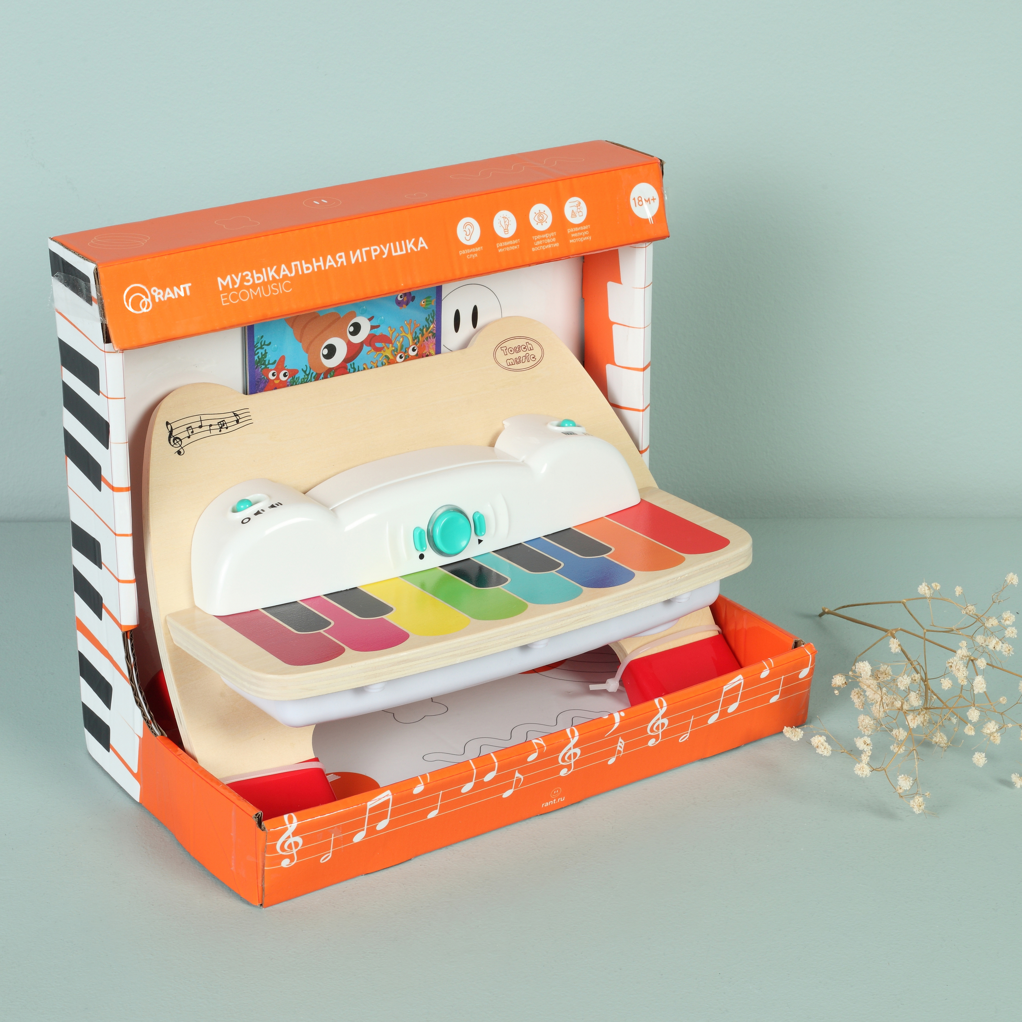 Игрушка музыкальная Rant Ecomusic natural пианино - фото 3