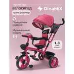Трехколесный велосипед DinaMiX 10 дюймов