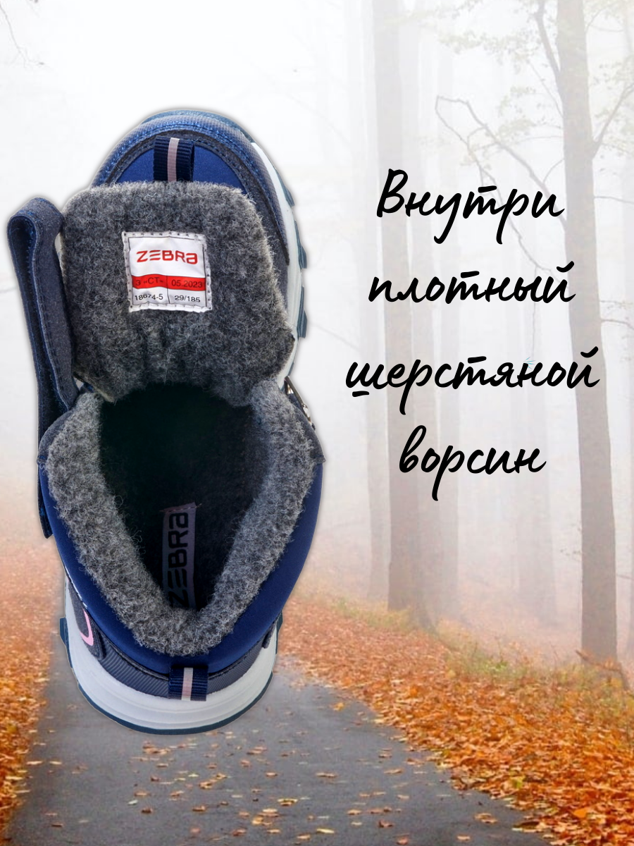 Ботинки Зебра 18674-5 - фото 4