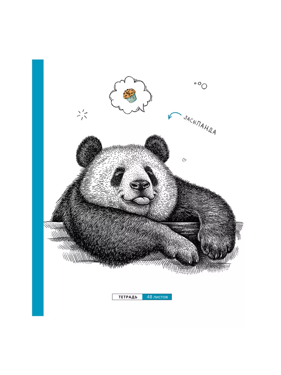 Тетрадь BG клетка 48 лист. 4 шт. - фото 3