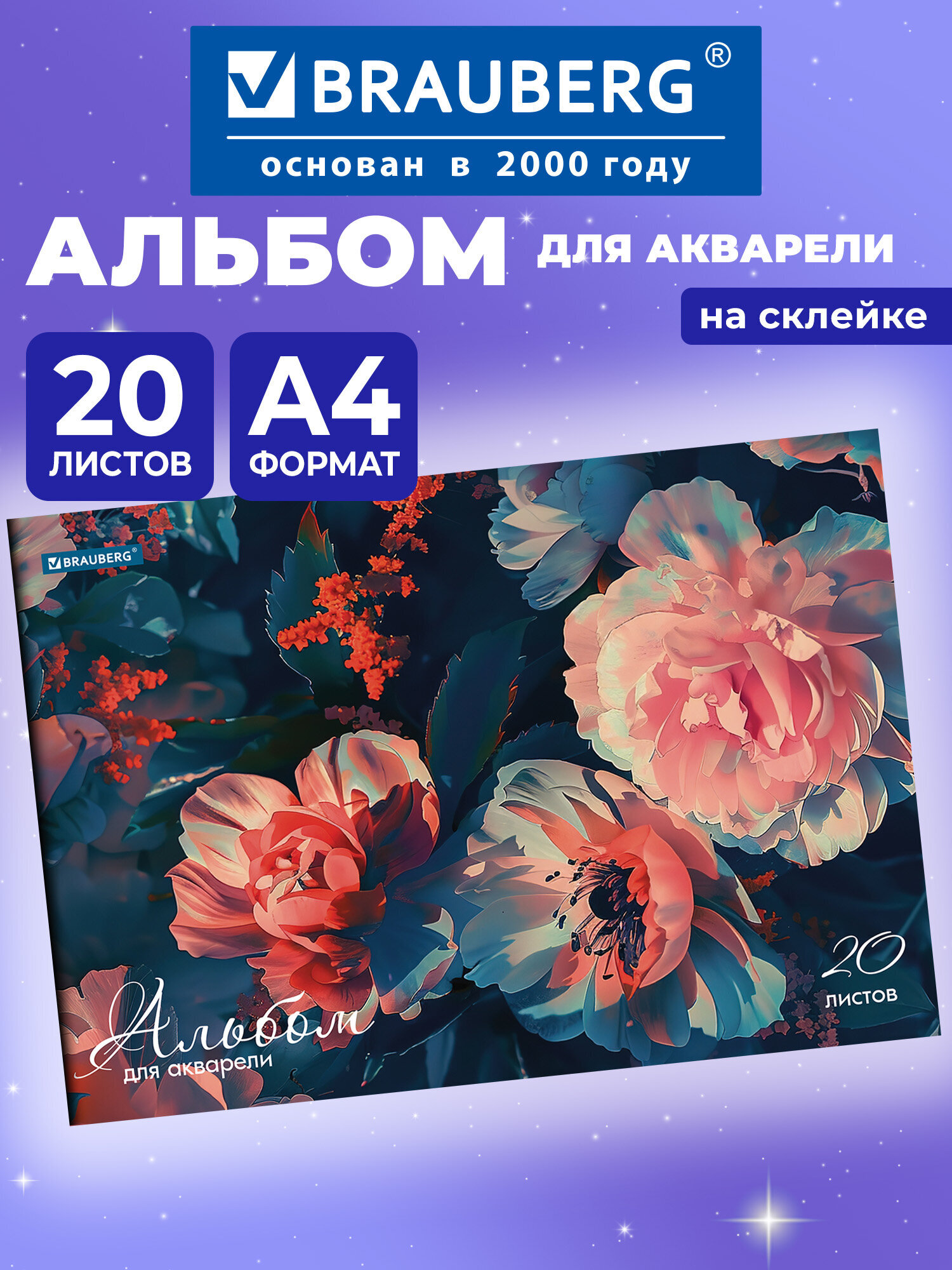 Альбом Brauberg А4 20 лист. - фото 1