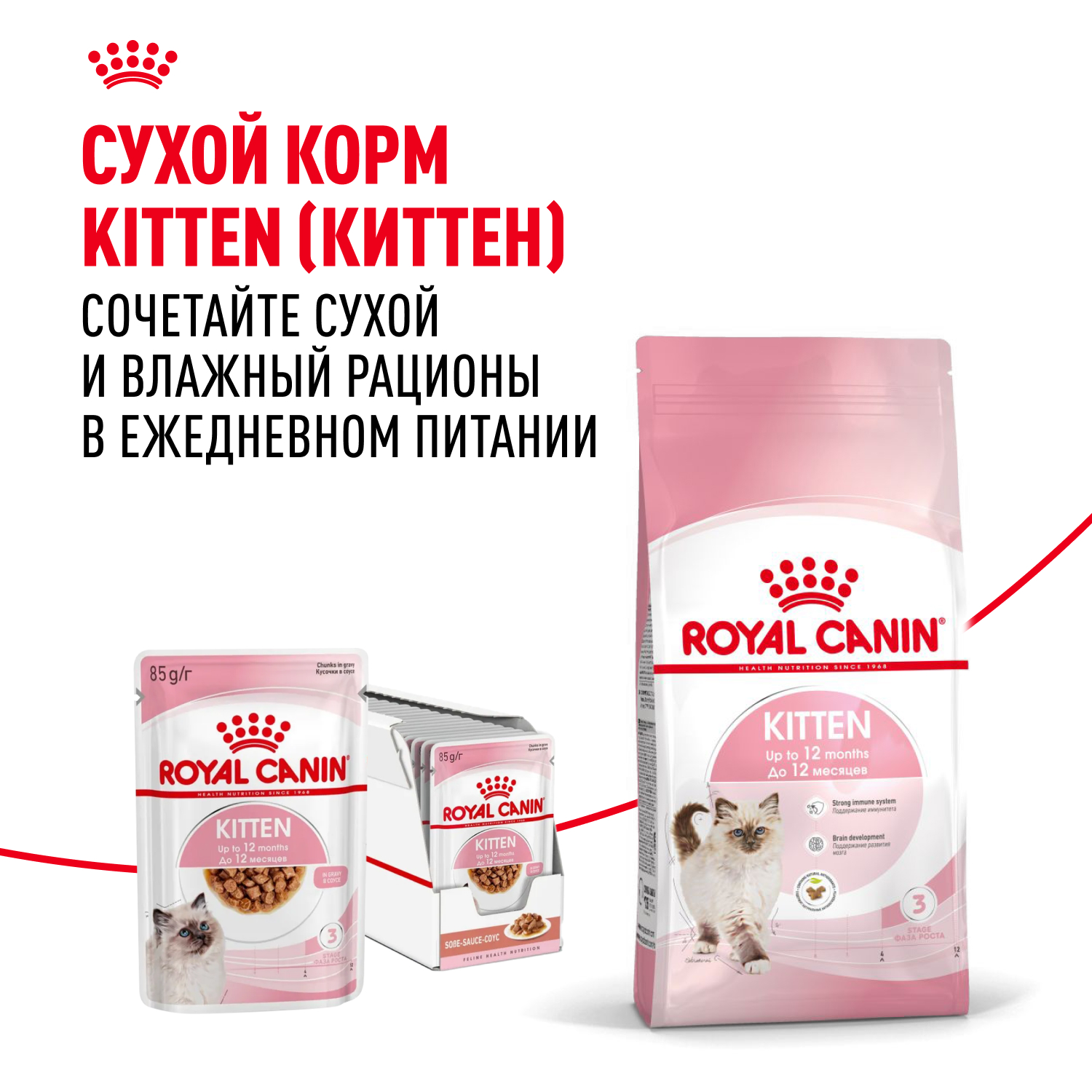 Корм влажный для котят ROYAL CANIN Kitten 85г кусочки в соусе 77851 - фото 8