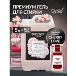 Гель для стирки 5 л SEPTIVIT Cherry Love