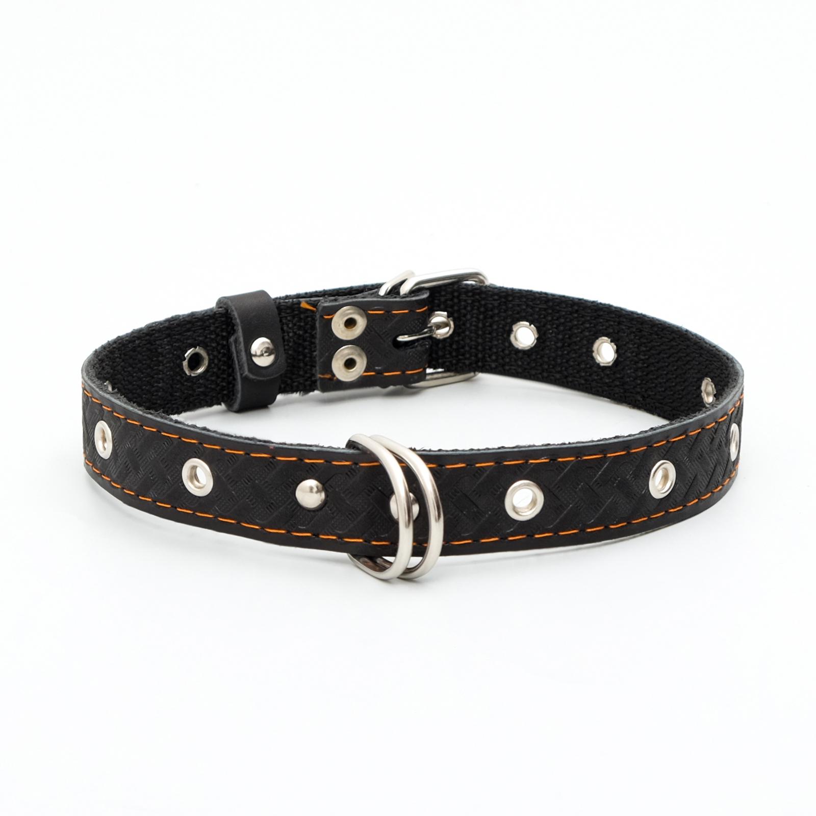 Ошейник Пижон кожаный усиленный капроном с полукольцом 55х2.5 см ОШ 27-53 см чёрный - фото 1