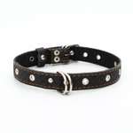 Ошейник Пижон кожаный усиленный капроном с полукольцом 55х2.5 см ОШ 27-53 см чёрный