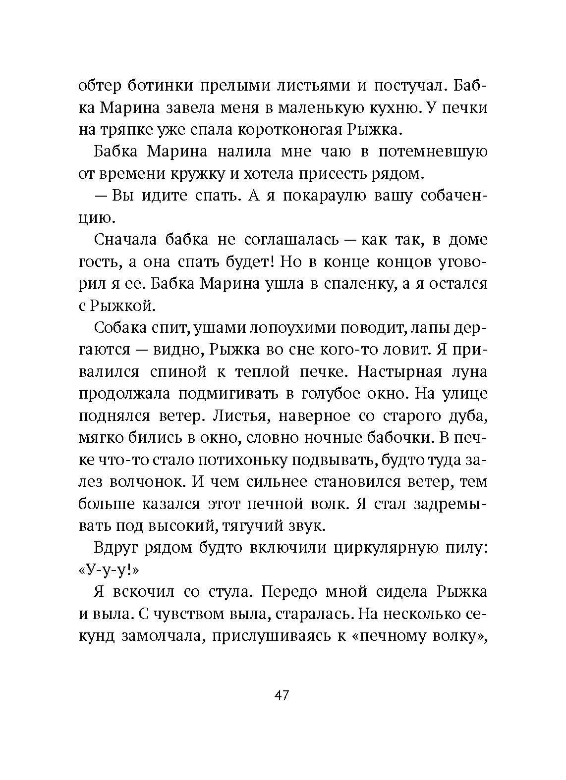 Книга Волчок Поворот - фото 3