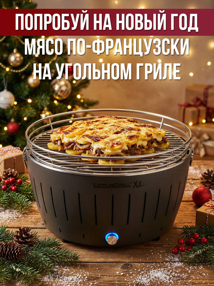 Гриль LotusGrill LotusGrill XL 43.5 см серый антрацит - фото 1