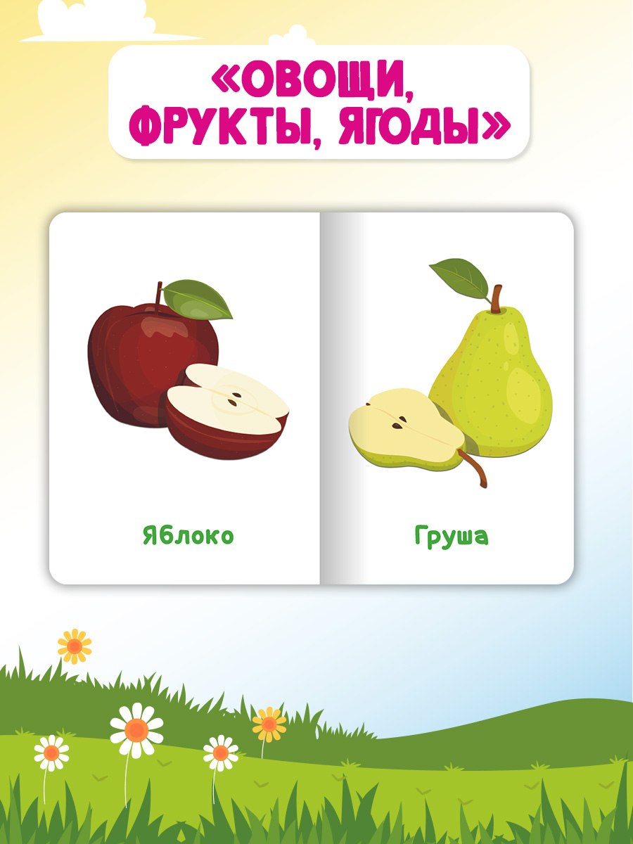 Книжки Проф-Пресс картонные мини 4 шт. Дикие и домашние животные+транспорт+овощи фрукты ягоды - фото 6