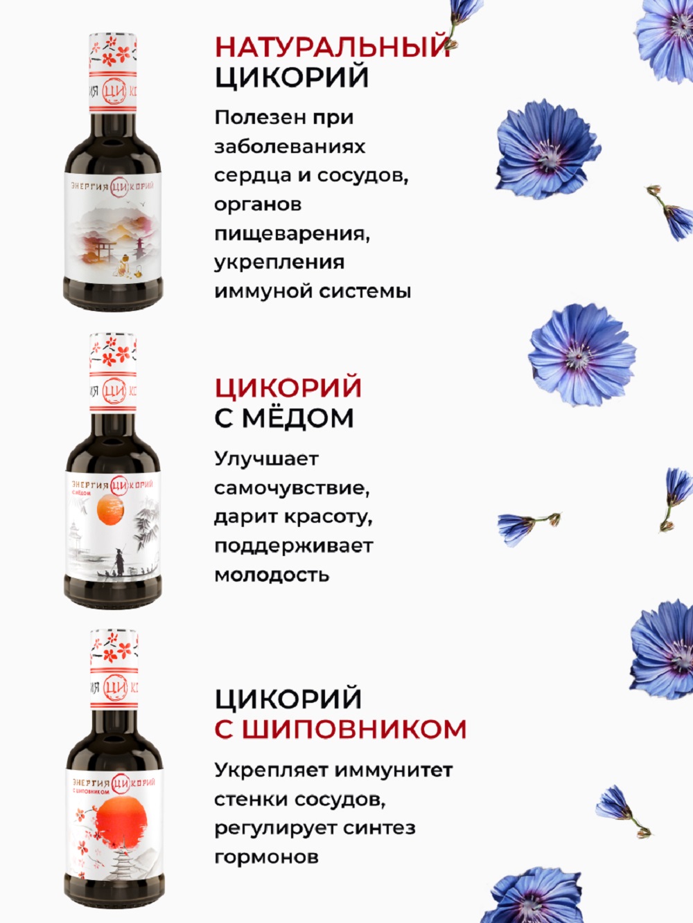 Цикорий Энергия Ци экстракт растворимый жидкий с эхинацеей и мятой - фото 7