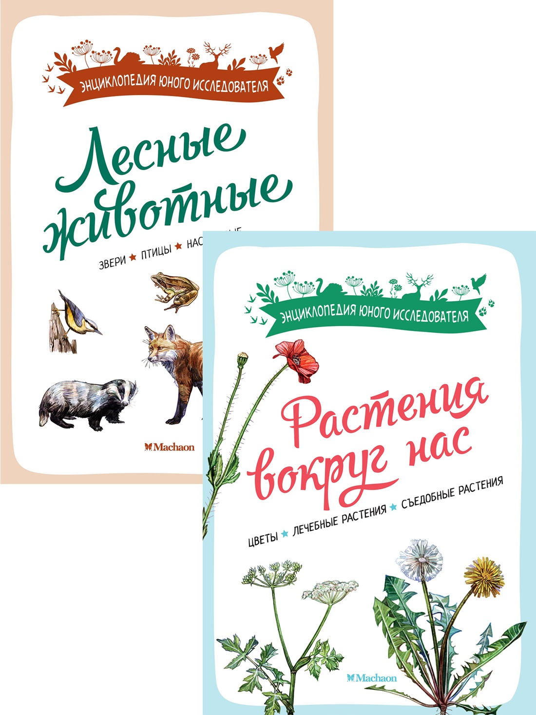 Книга Махаон Весь мир природы для школьника Комплект из 2 х книг - фото 1