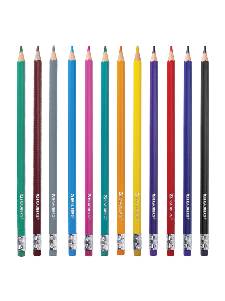 Карандаши цветные Brauberg 12 шт. - фото 5