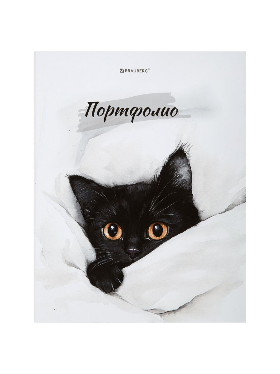 Портфолио школьника Brauberg папка А4 на кольцах 20 файлов для девочки и мальчика - фото 2