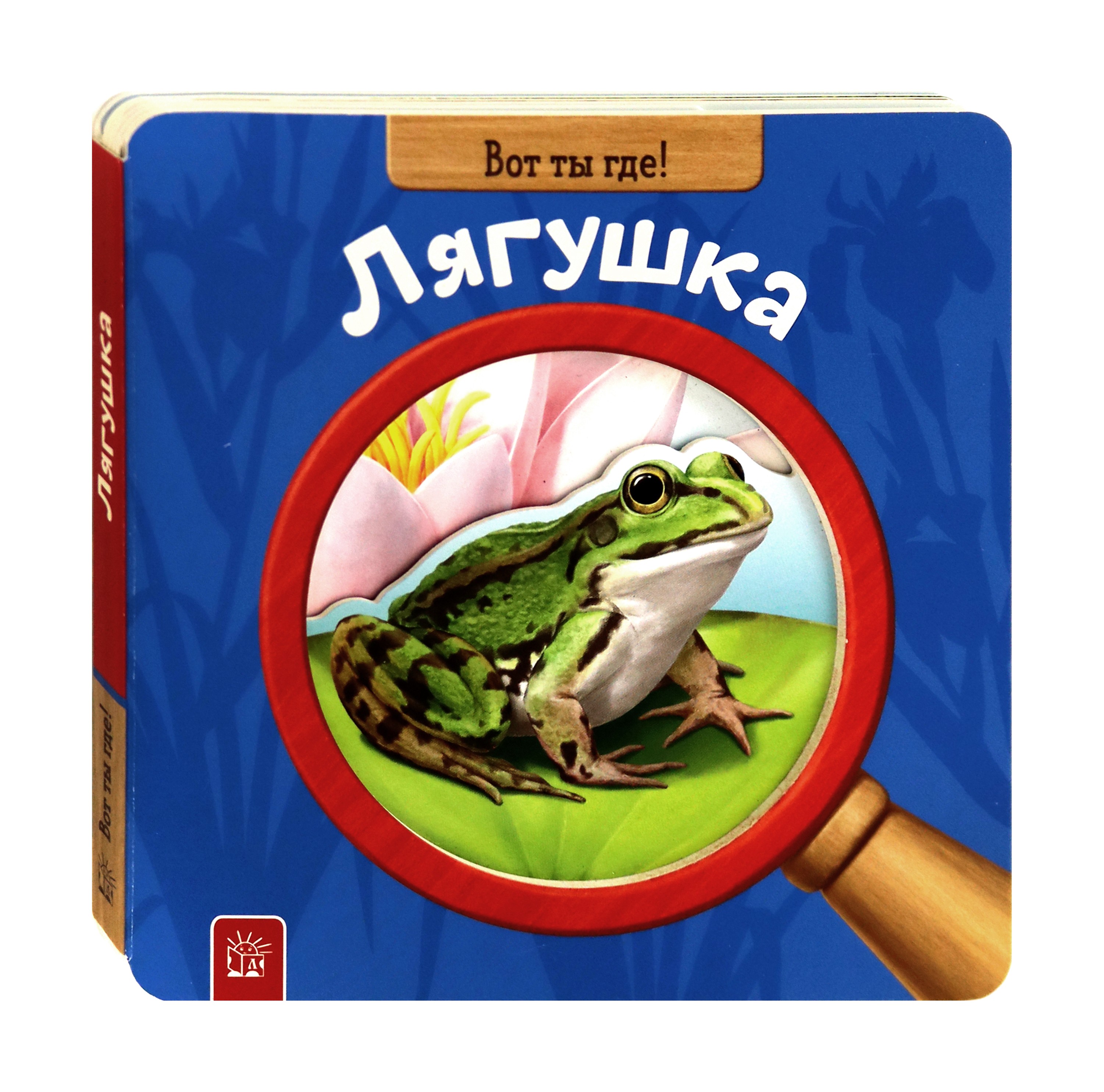 Книга Лабиринт Вот ты где! Лягушка - фото 2