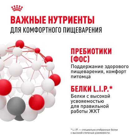 Корм сухой для кошек ROYAL CANIN Sensible 33 2кг с чувствительной пищеварительной системой