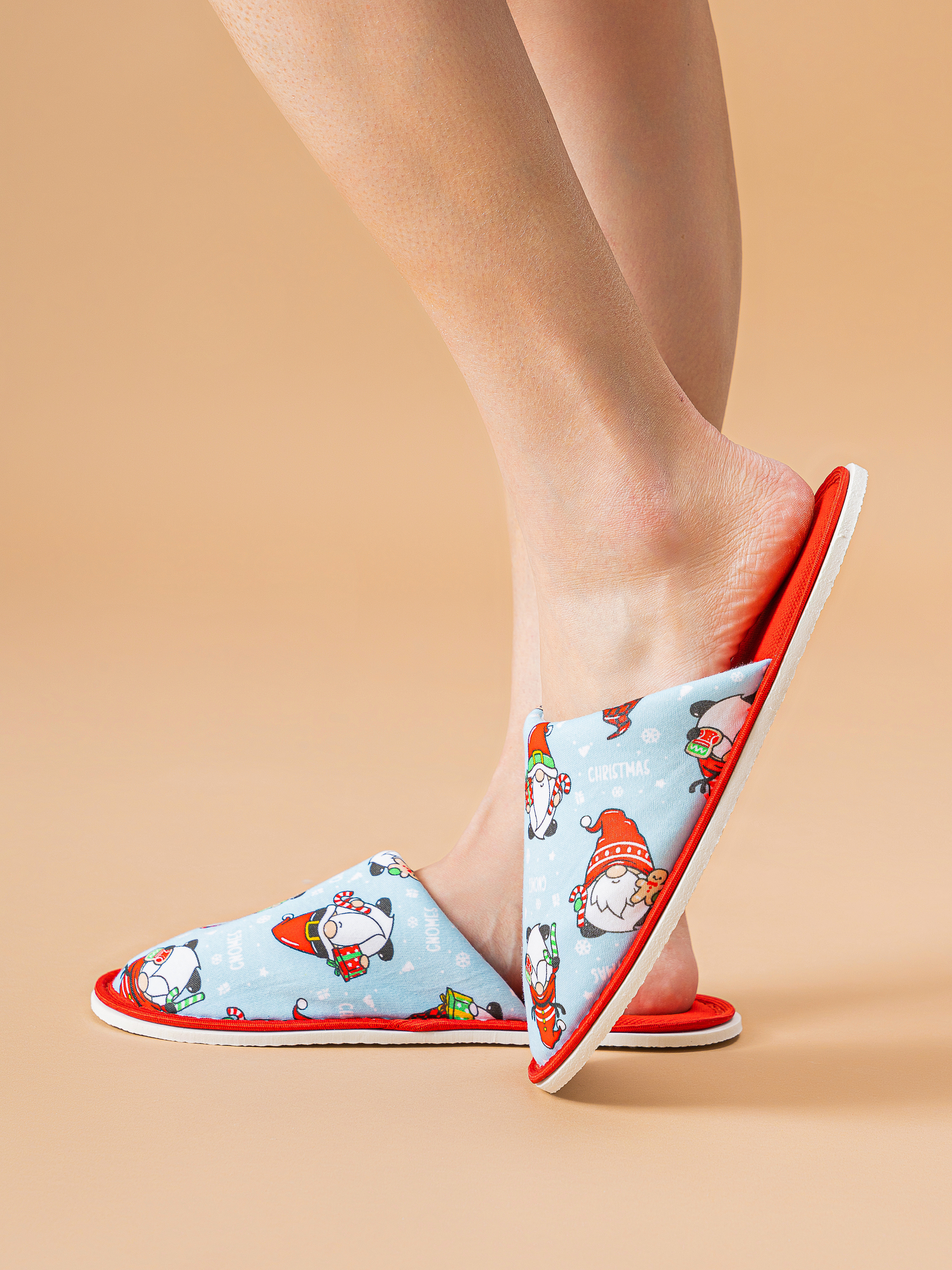 Тапочки домашние IVShoes С-6ЖМ-МР/гномы/голубой - фото 11