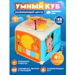 Игрушка Smart Baby развивающий центр Оранжевый