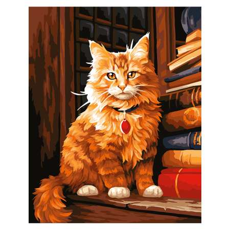 Картина по номерам Art on Canvas Мудрый кот в ассортименте