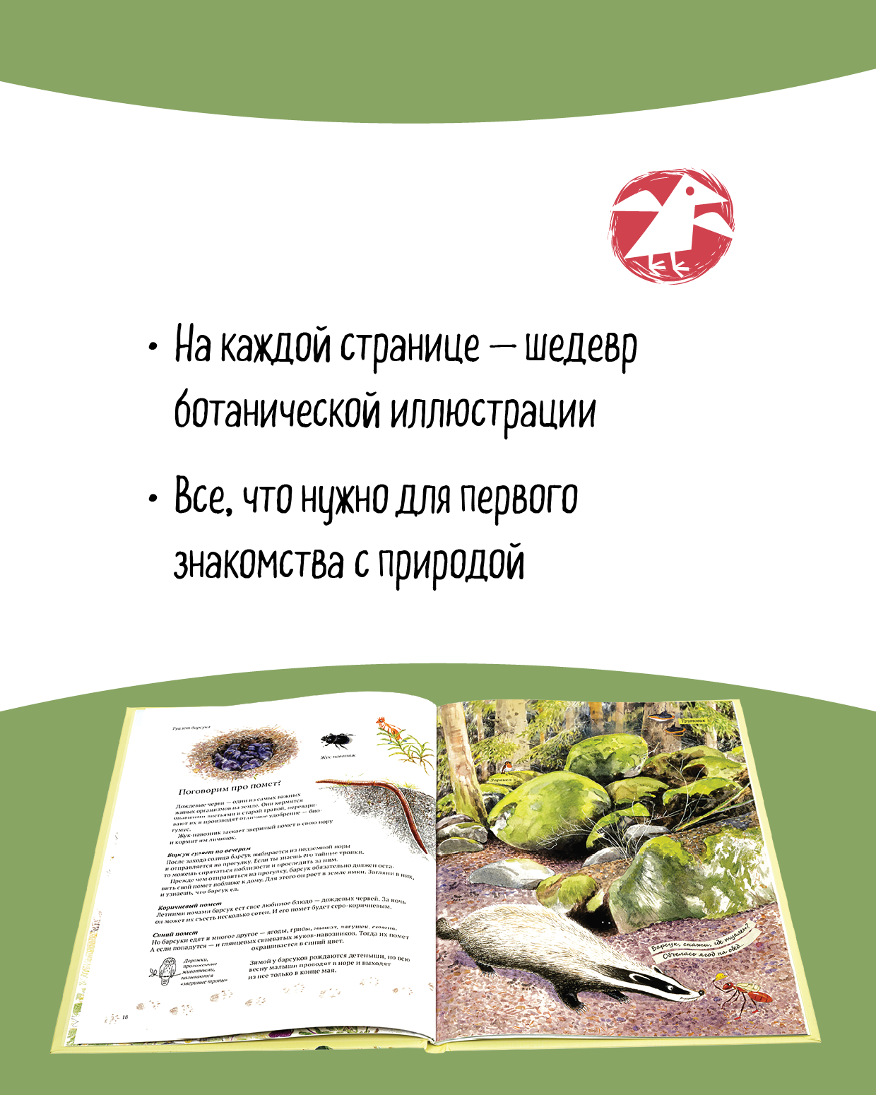 Книга ALBUS CORVUS Экспедиция Софи - фото 4