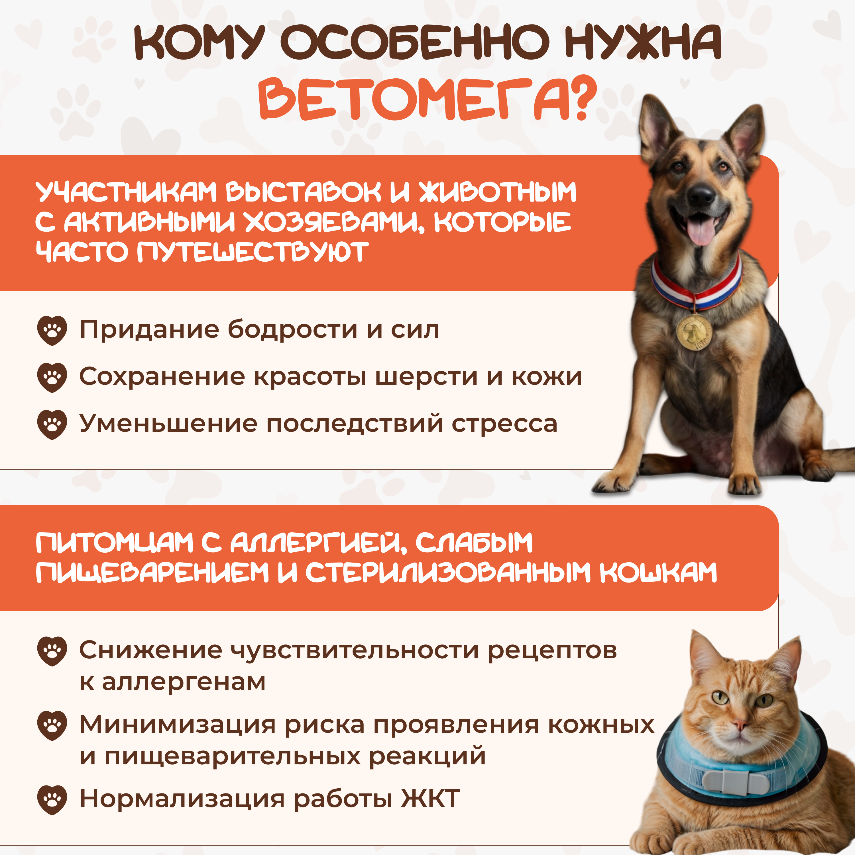 Ветомега - масло лосося и кальмара Pets health для красоты шерсти поддержки иммунной и нервной системы кошек и собак 250 мл - фото 7