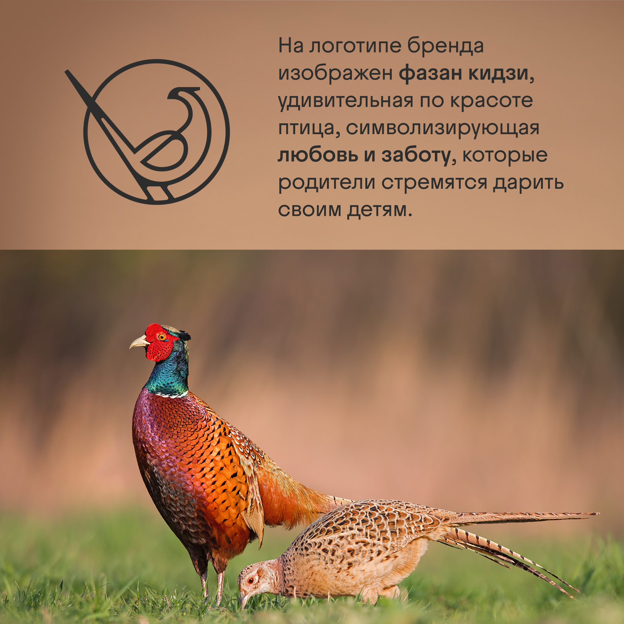 Автокресло Kidzi SPIN PLUS 360 i-SIZE Isofix 0+/1/2/3 (0-36 кг) черный - фото 18