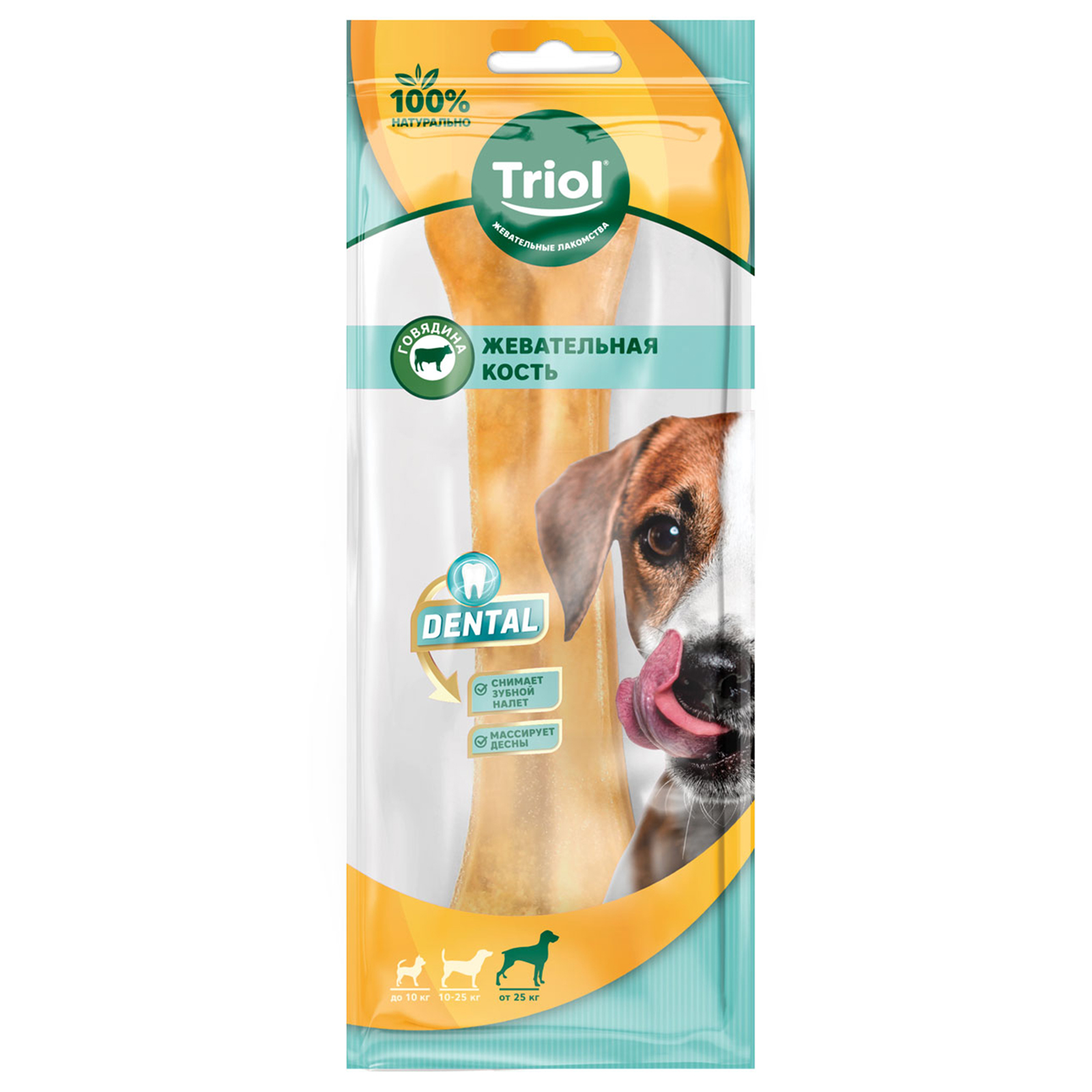 Лакомство для собак Triol Dental кость жевательная 20см - фото 1