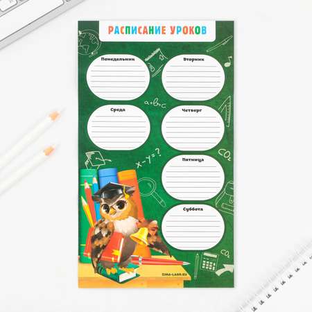 Набор канцелярский ArtFox Выпускник начальной школы