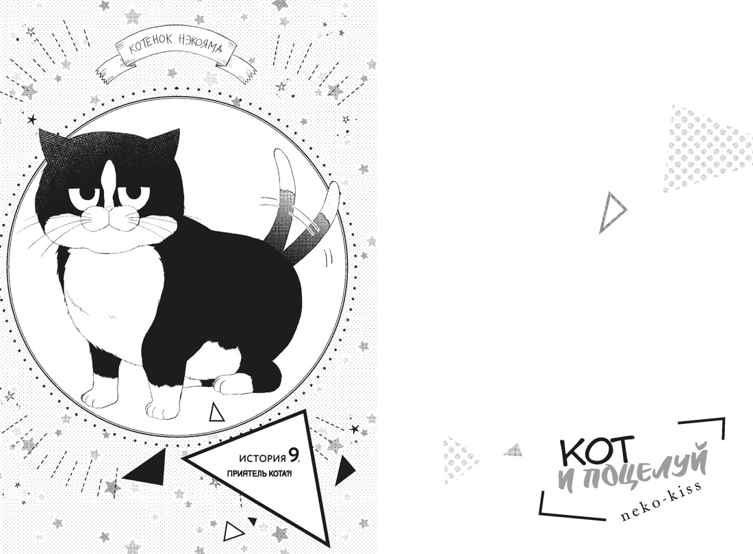Книга Махаон Кот и поцелуй Том 3 - фото 9