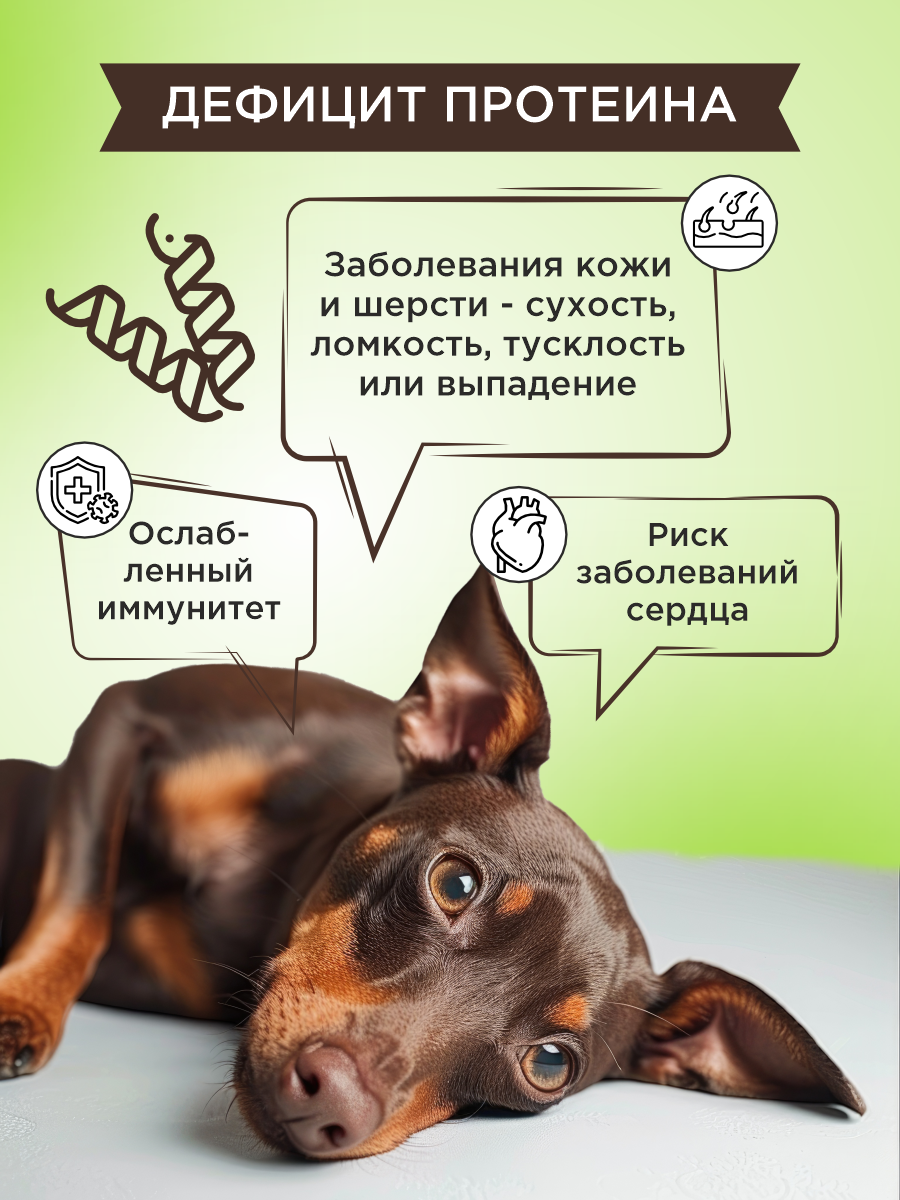 Полезное лакомство для собак GOODR DOG Здоровье кожи и шерсти 90 таблеток - фото 3