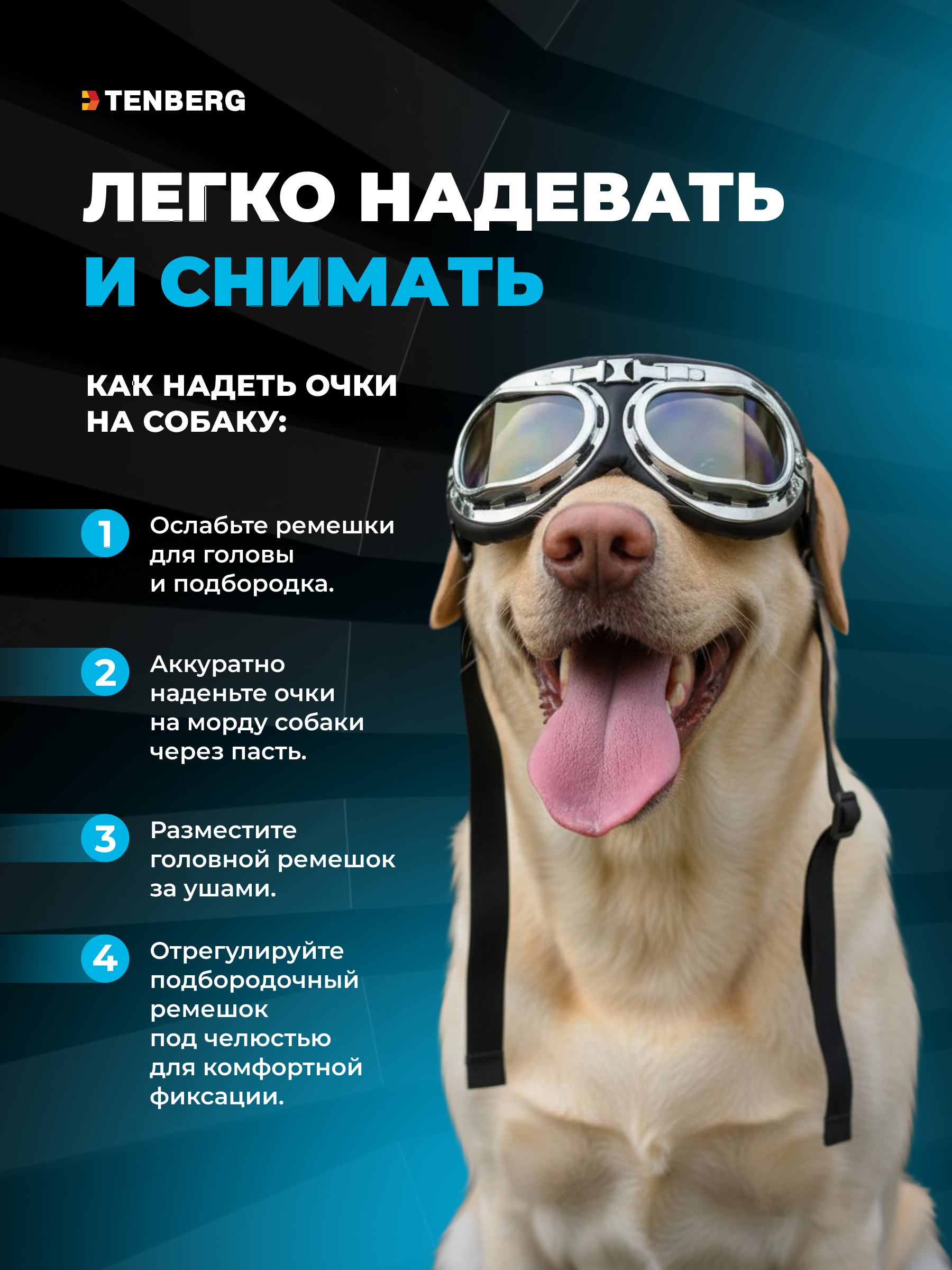 Солнцезащитные очки для собак TENBERG Barkley UV Silver - фото 10
