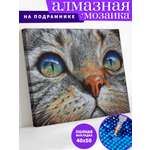 Алмазная мозаика Art on Canvas Кошачий взгляд в ассортименте