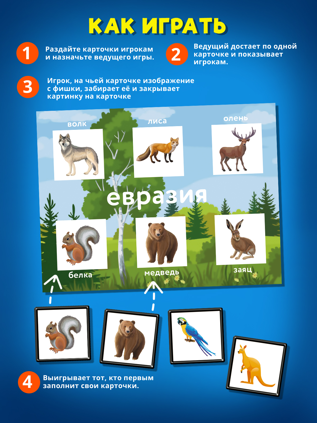 Настольная игра STELLAR Кто где живёт. Континенты - фото 2