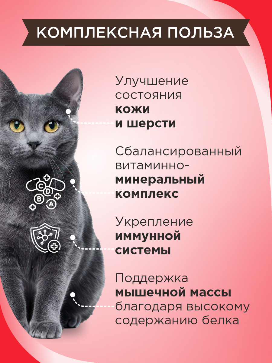 Полезное лакомство для кошек GOODR CAT со вкусом альпийской говядины 90 таблеток - фото 3