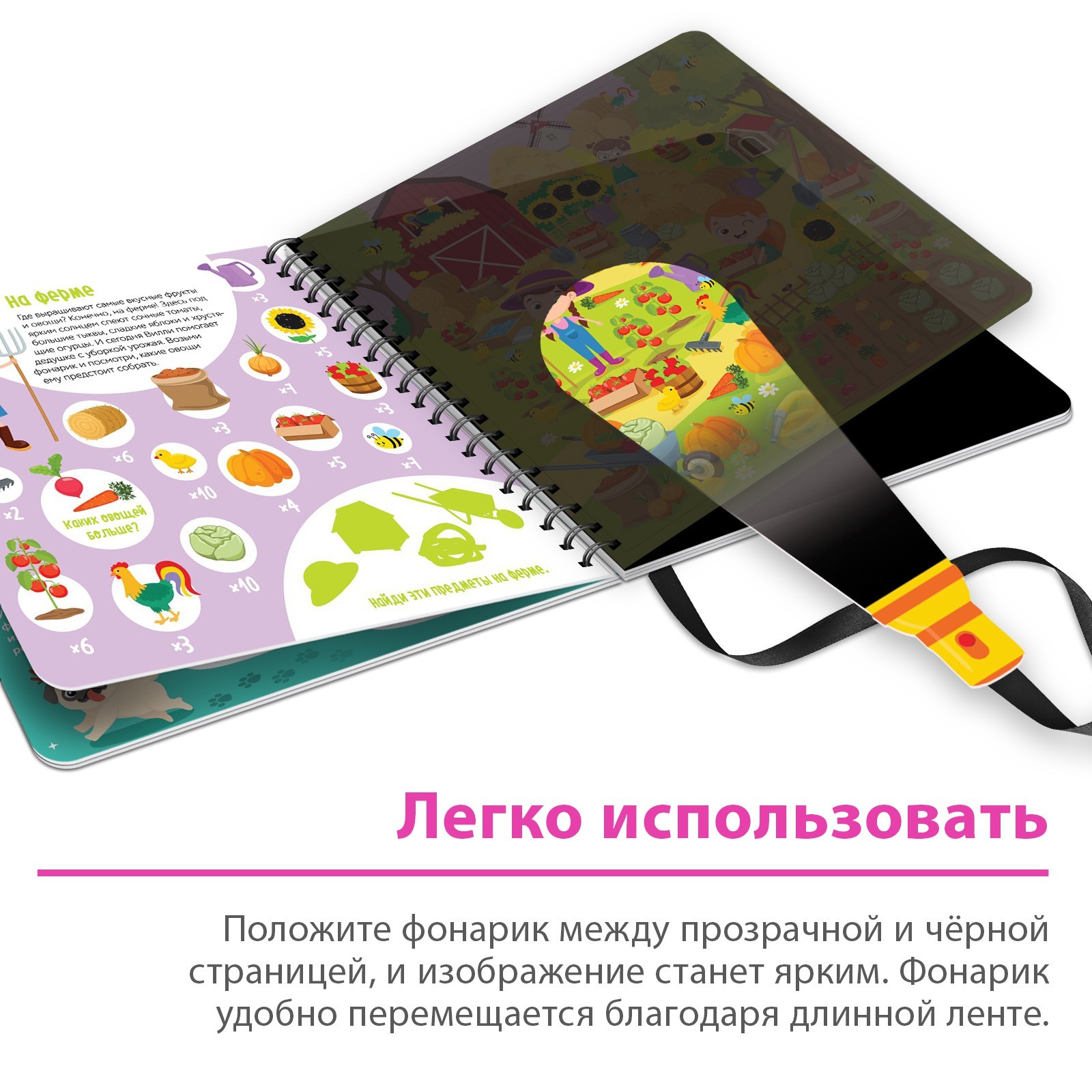 Секретная книга с волшебным фонариком Буква-ленд «Найди и сосчитай с Вилли», 22 стр. - фото 4