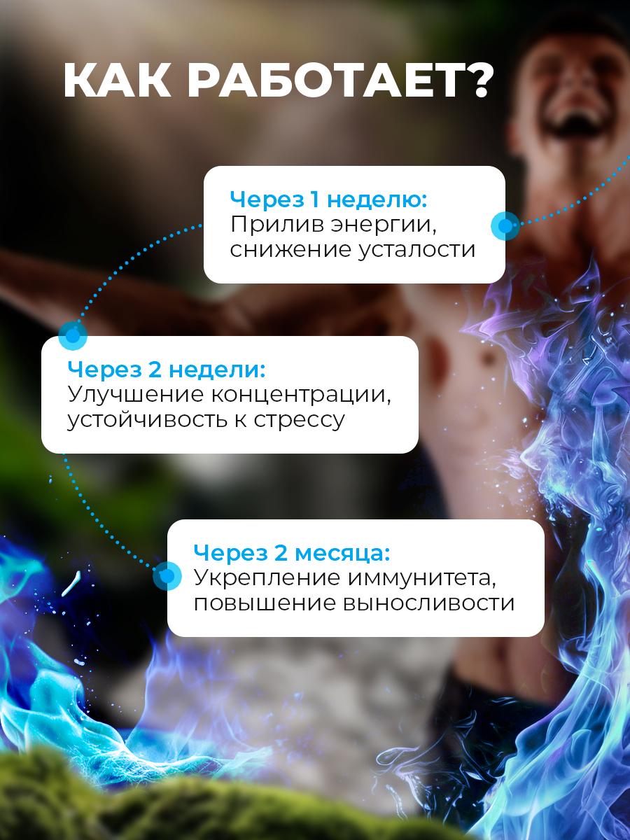 Мульти витамины для мужчин Доктор Море 60 капсул - фото 4