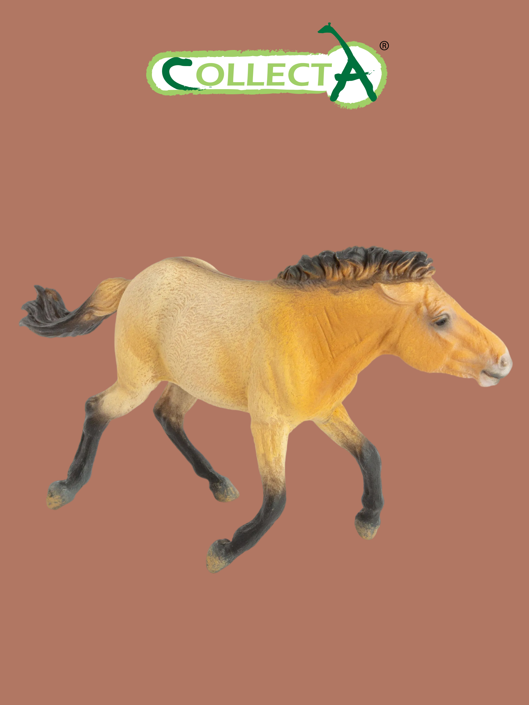 Игровой набор Collecta Жеребец Пржевальского - фото 1