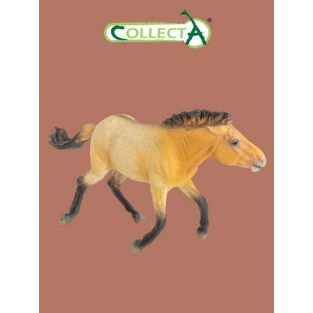Игровой набор Collecta Жеребец Пржевальского