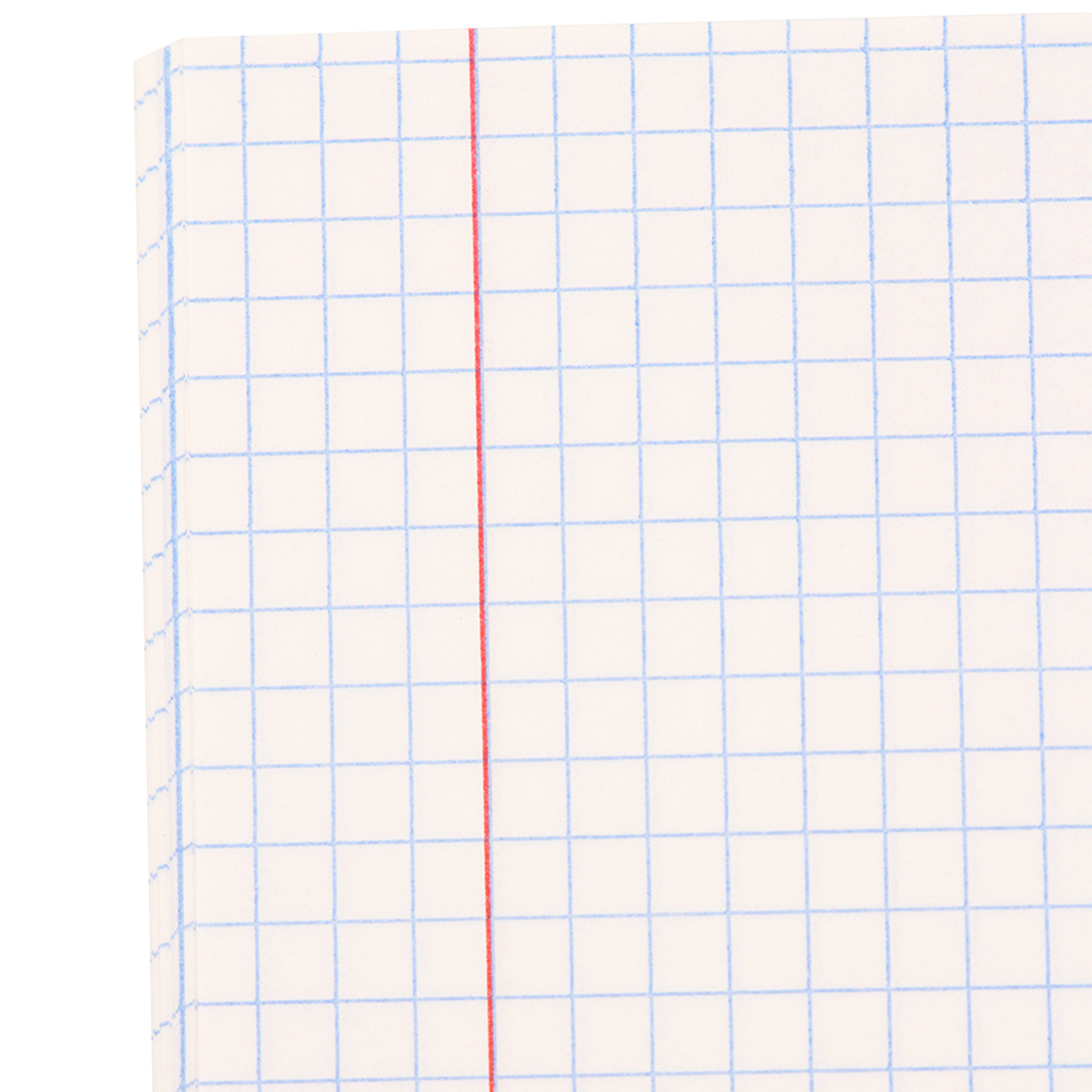 Тетрадь Prof-Press клетка 18 лист. 10 шт. - фото 5