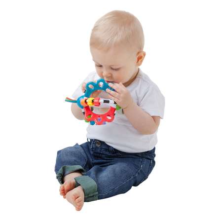 Развивающая игрушка Playgro Шар