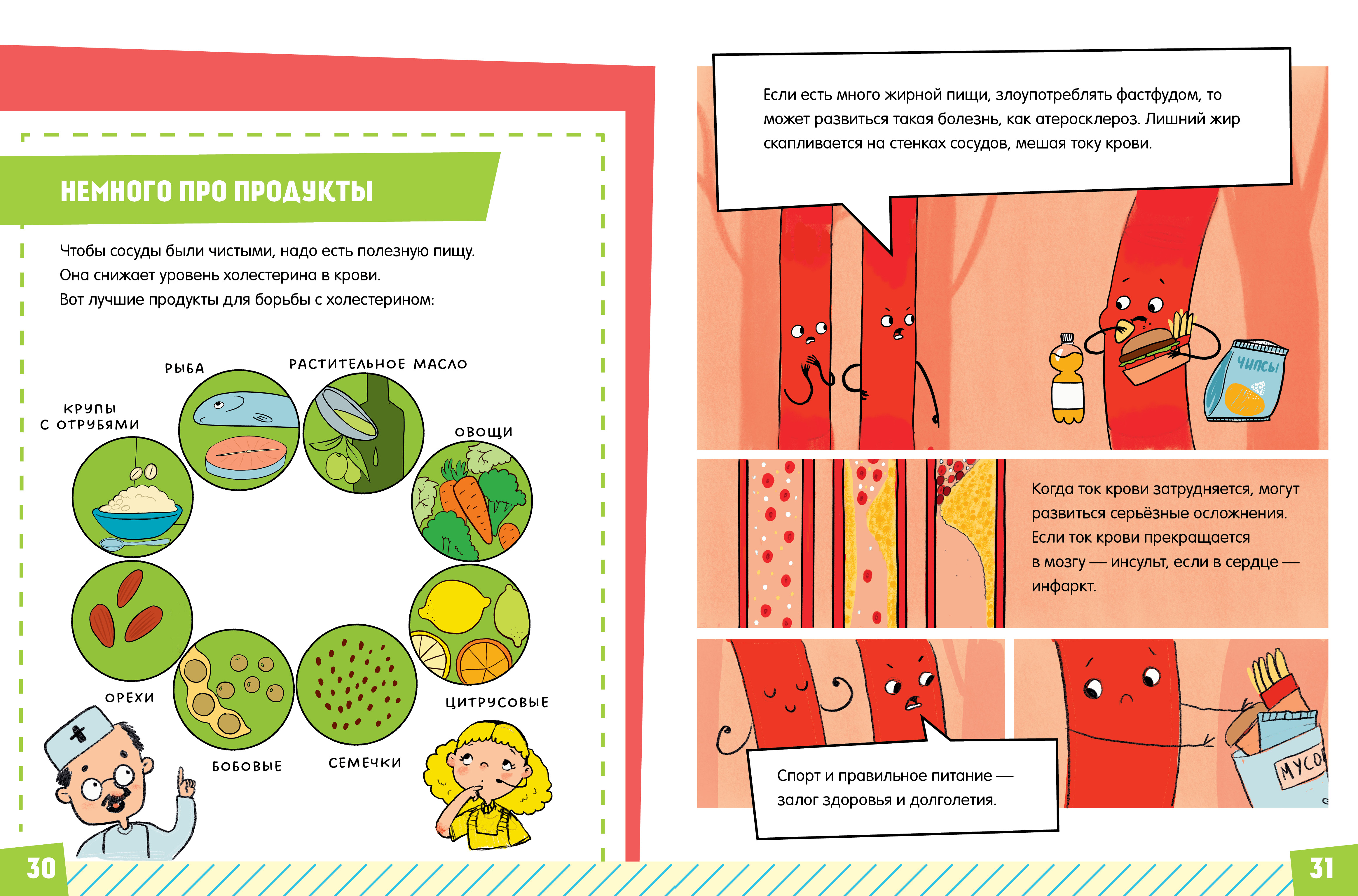 Подарок для почемучки Clever Тело человека - фото 2
