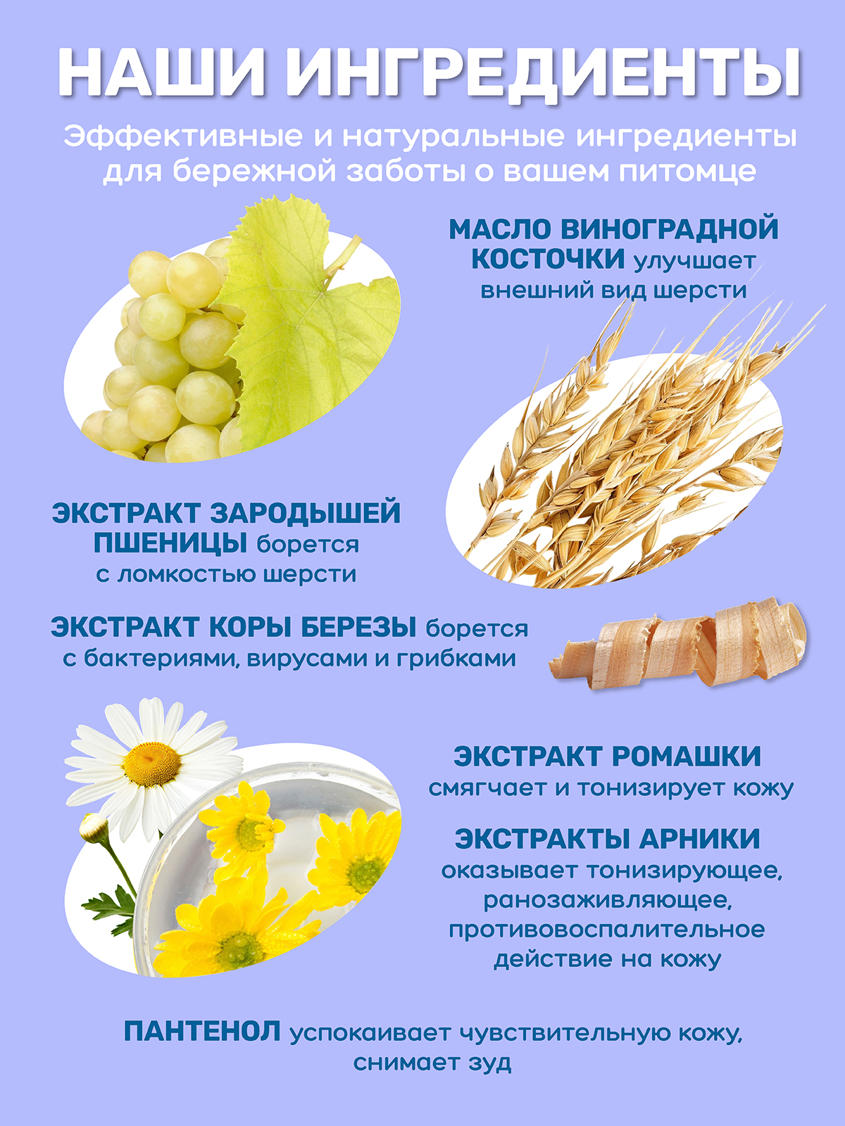 Шампунь для собак и кошек ZOORIK универсальный 500 мл - фото 6