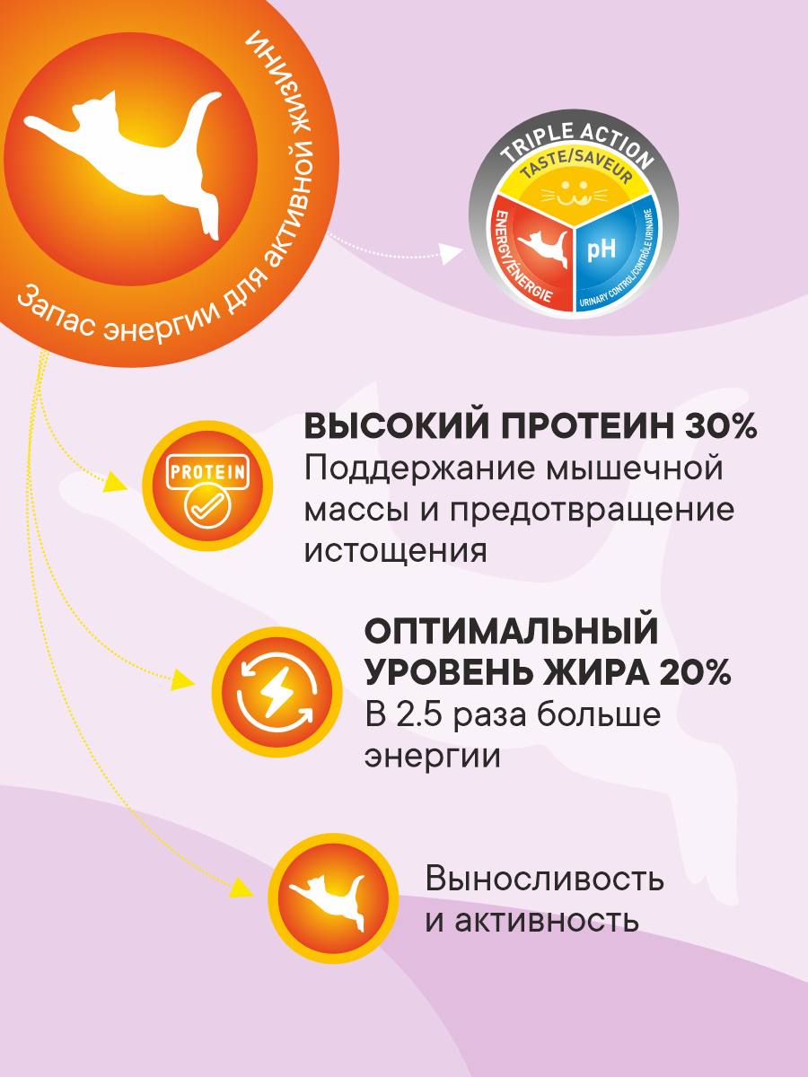 Корм сухой 1st Choice Finicky для привередливых кошек на курице 5.44кг - фото 2