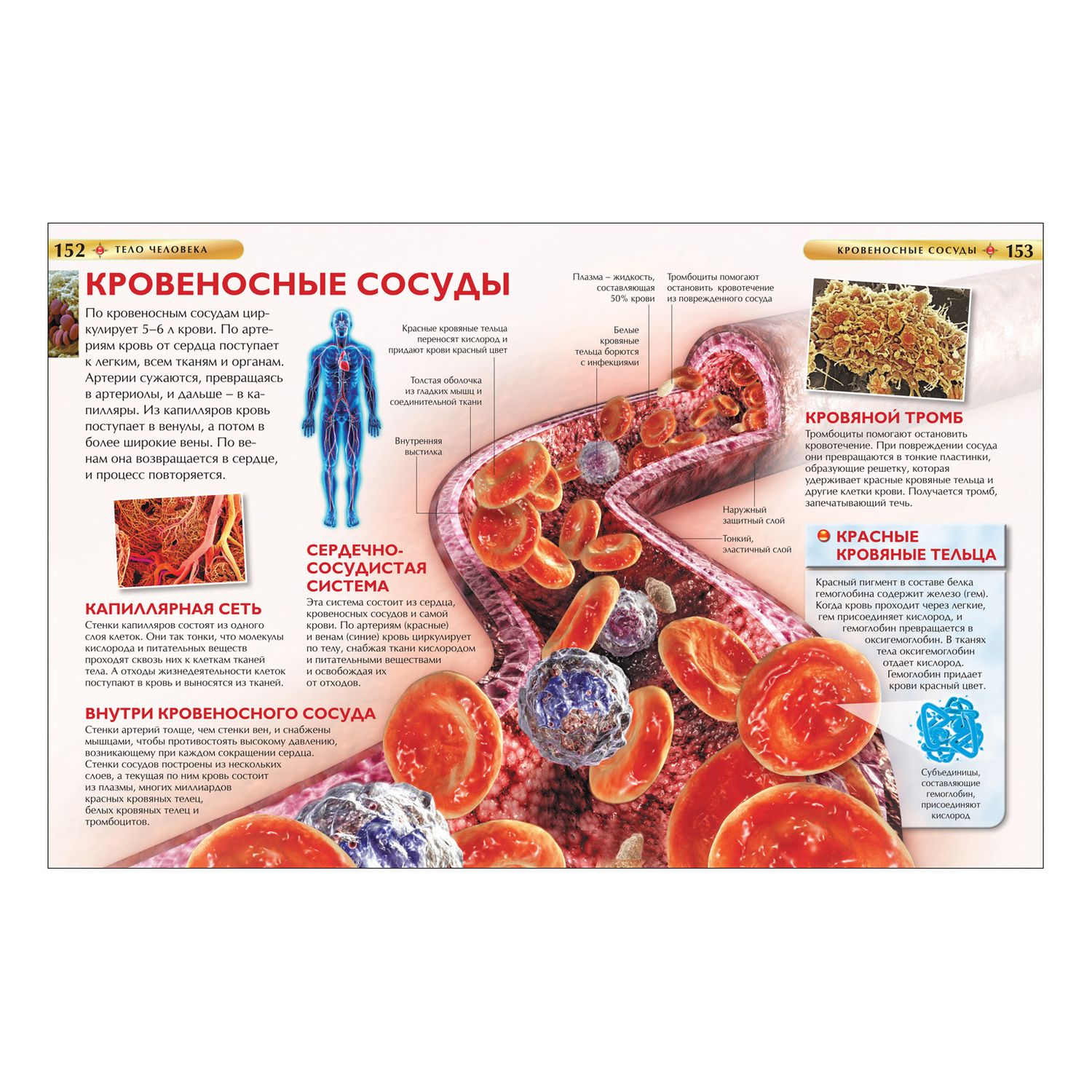 Книга Росмэн Детская иллюстрированная энциклопедия - фото 4