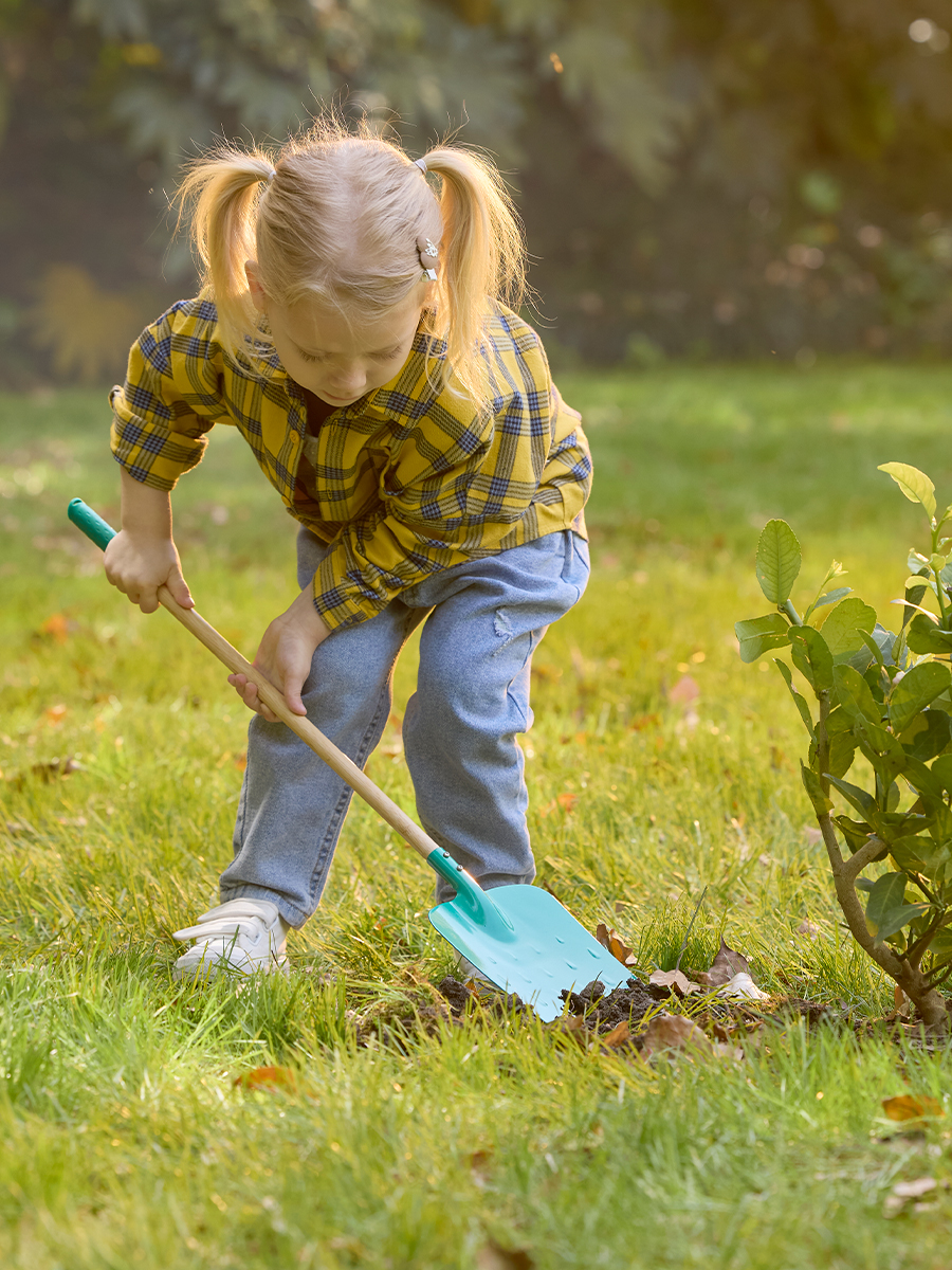 Лопатка Hape - фото 2